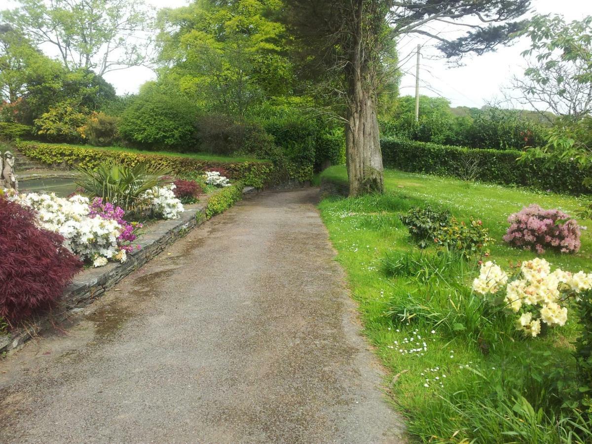No 4 Trelawney Apartment - Onsite Bar - Restaurant - Horse Riding Menheniot Exterior photo