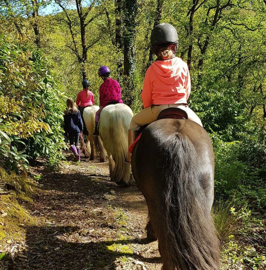 No 4 Trelawney Apartment - Onsite Bar - Restaurant - Horse Riding Menheniot Exterior photo